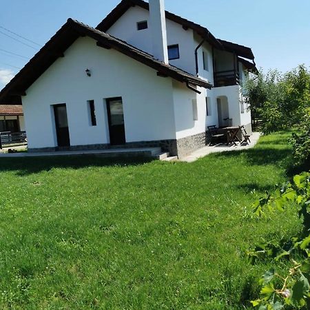 Pensiunea Alina Baia de Fier Bagian luar foto