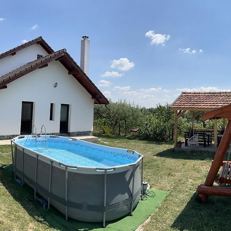 Pensiunea Alina Baia de Fier Bagian luar foto