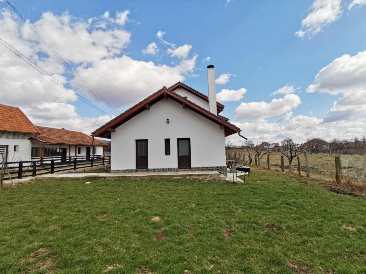 Pensiunea Alina Baia de Fier Bagian luar foto