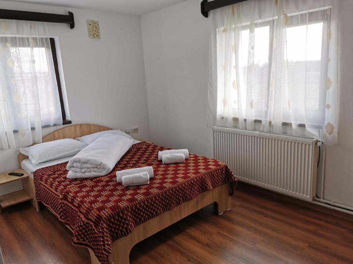 Pensiunea Alina Baia de Fier Bagian luar foto