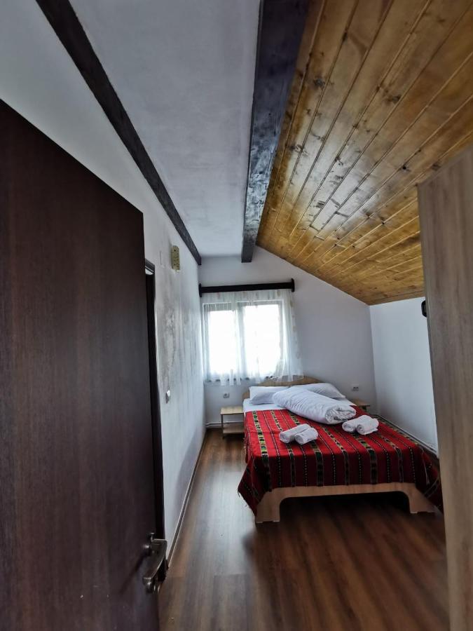 Pensiunea Alina Baia de Fier Bagian luar foto
