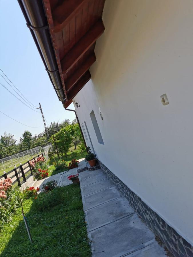 Pensiunea Alina Baia de Fier Bagian luar foto