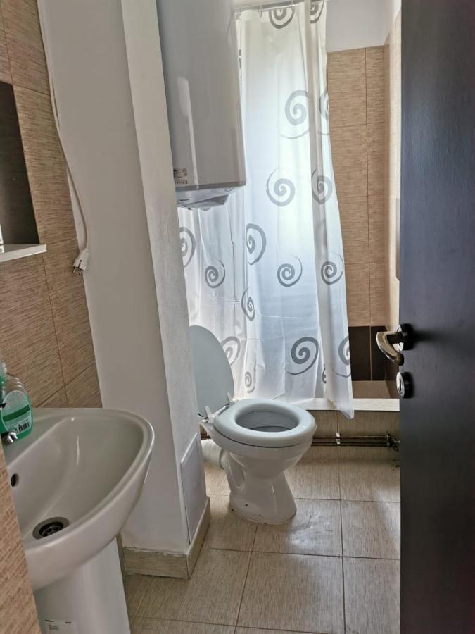 Pensiunea Alina Baia de Fier Bagian luar foto