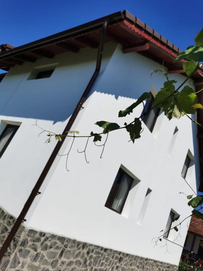 Pensiunea Alina Baia de Fier Bagian luar foto