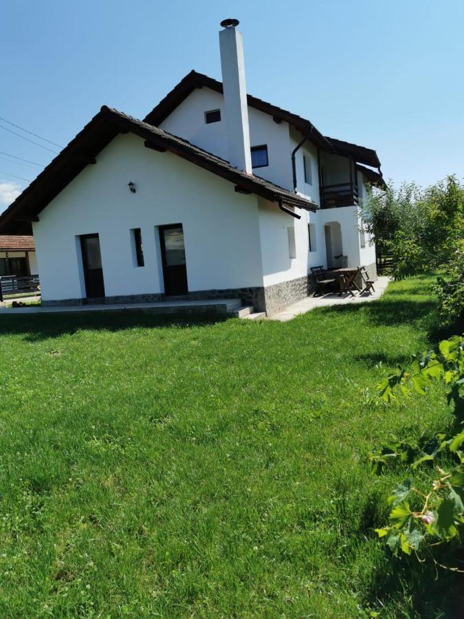 Pensiunea Alina Baia de Fier Bagian luar foto