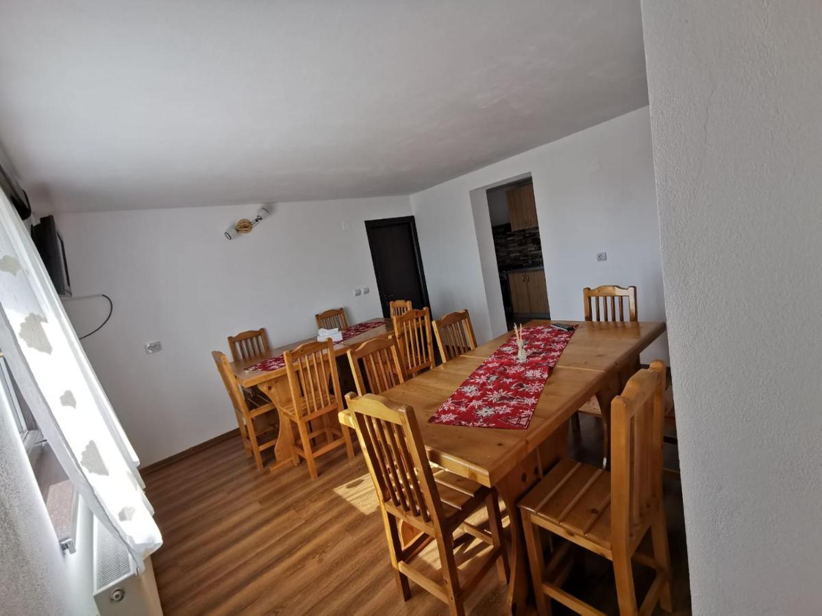 Pensiunea Alina Baia de Fier Bagian luar foto
