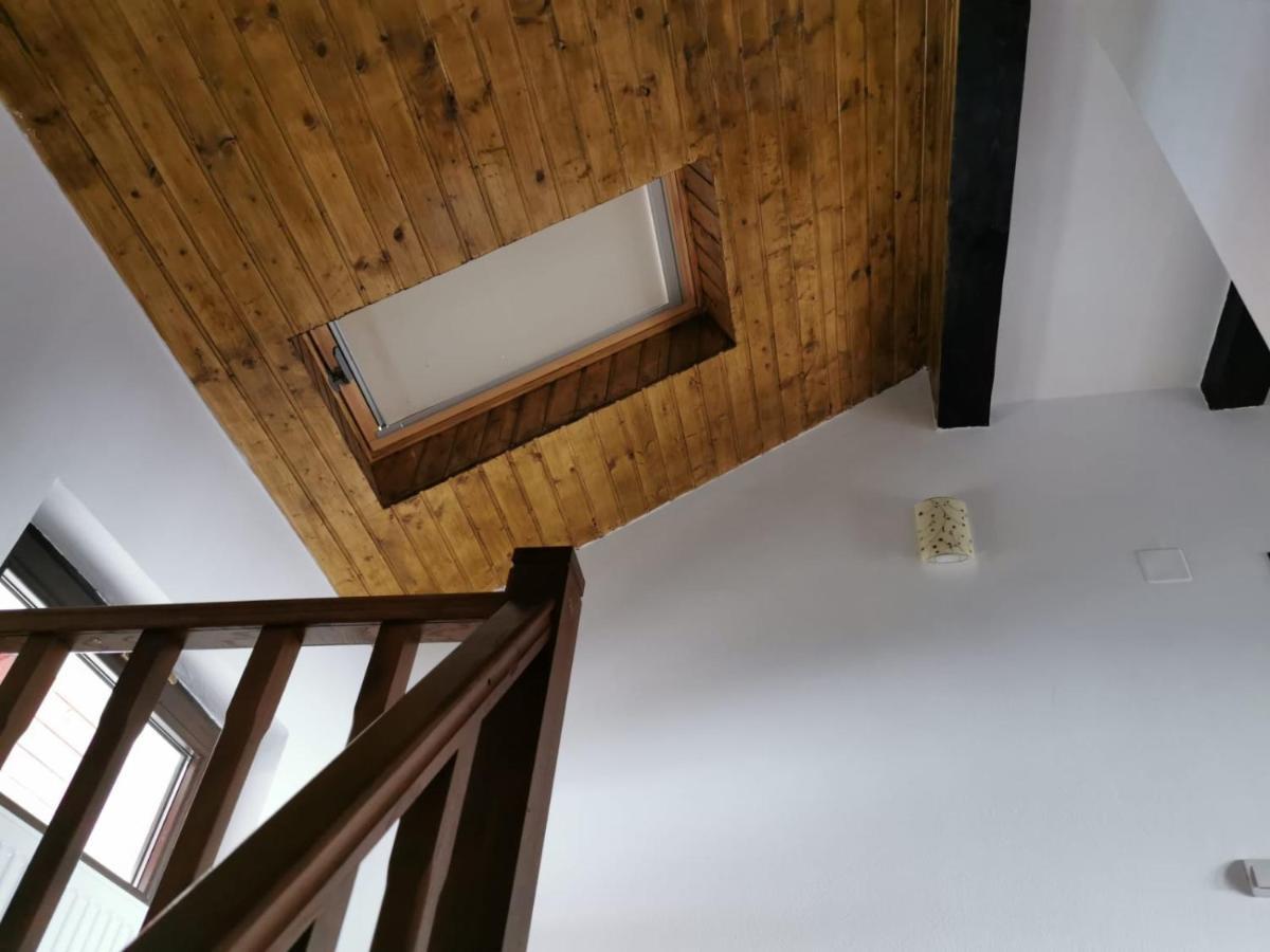 Pensiunea Alina Baia de Fier Bagian luar foto