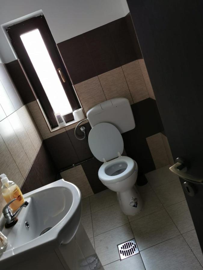 Pensiunea Alina Baia de Fier Bagian luar foto