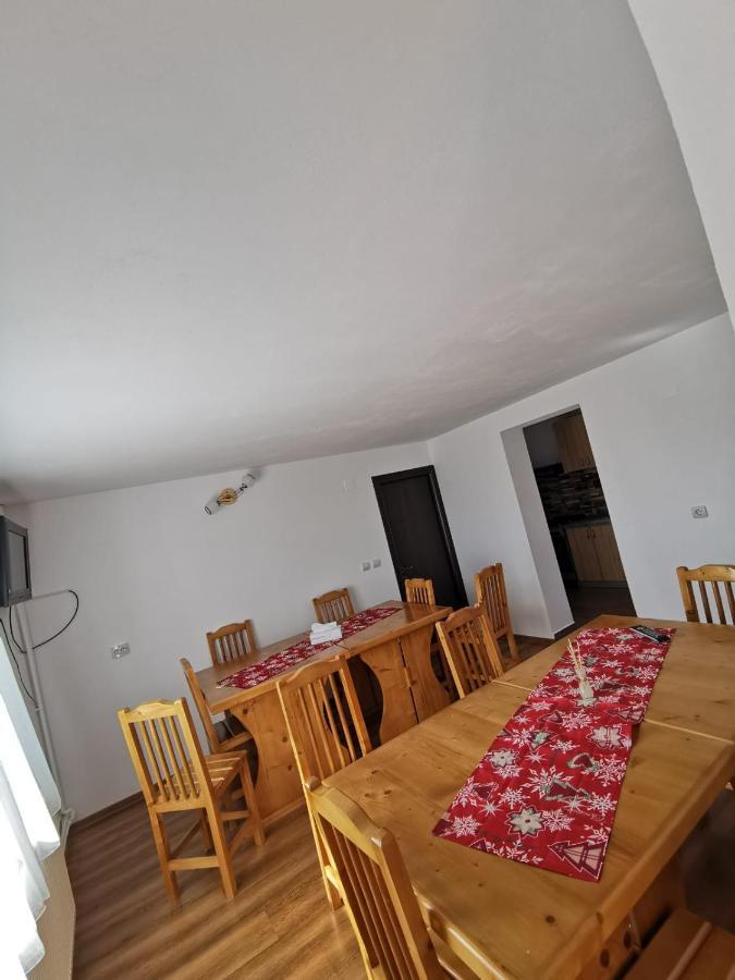 Pensiunea Alina Baia de Fier Bagian luar foto