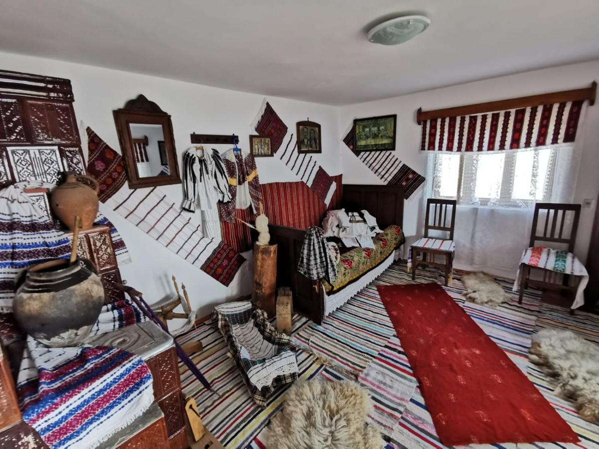 Pensiunea Alina Baia de Fier Bagian luar foto