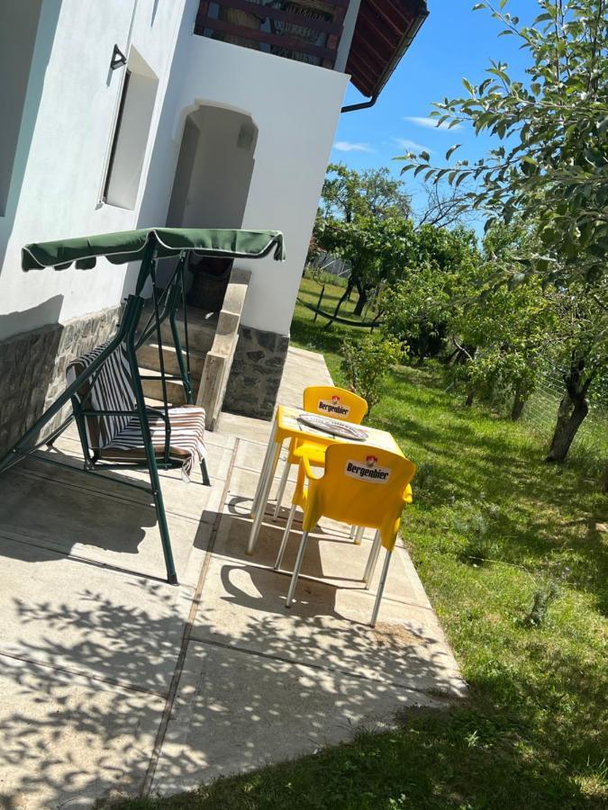 Pensiunea Alina Baia de Fier Bagian luar foto