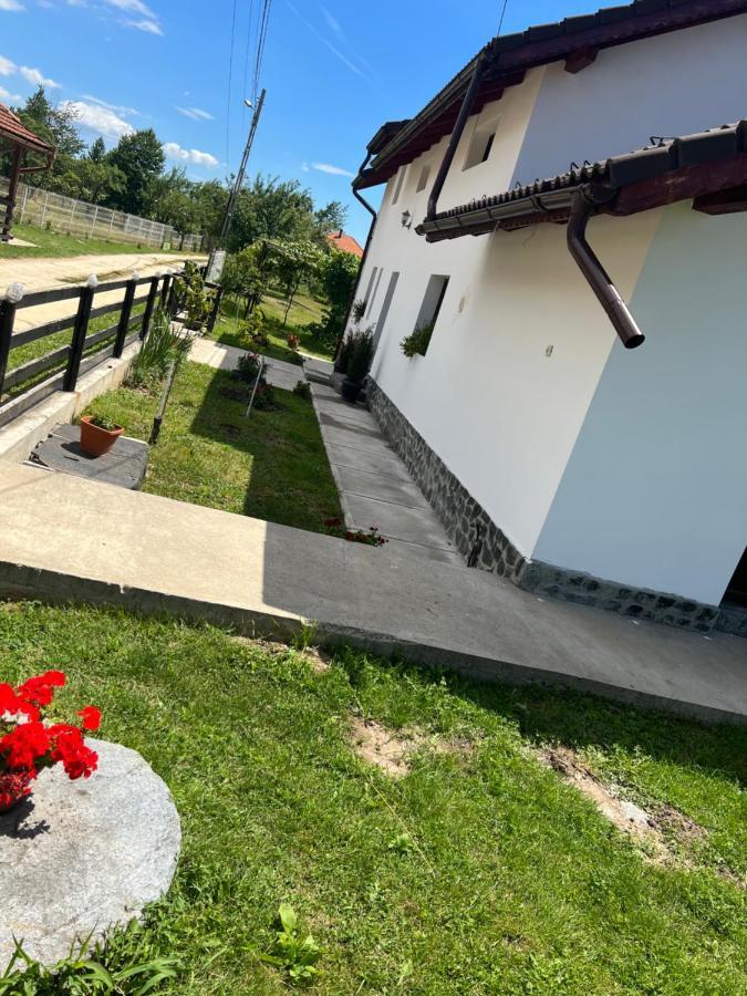 Pensiunea Alina Baia de Fier Bagian luar foto