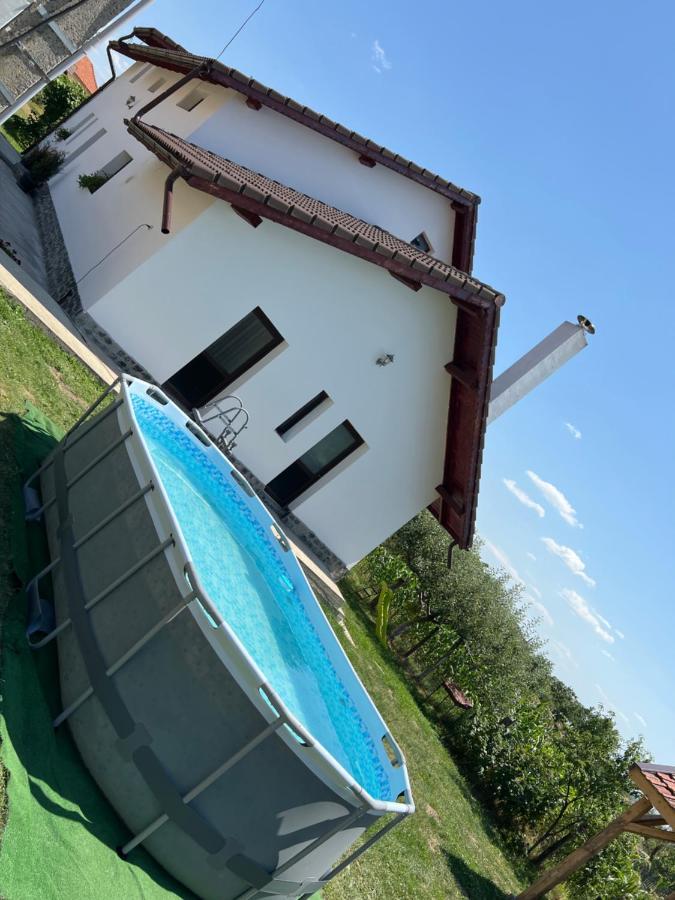 Pensiunea Alina Baia de Fier Bagian luar foto